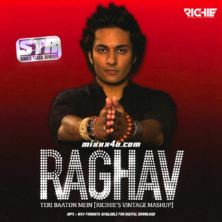 TERI BAATON MEIN (RICHIE'S VINTAGE MASHUP) - RICHIE *SINGLE TRACK REMIXES