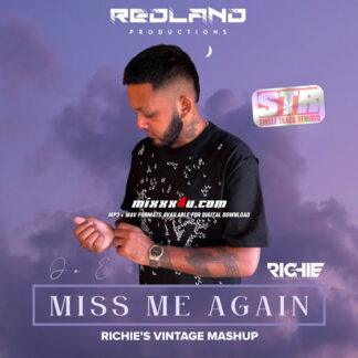 MISS ME AGAIN (RICHIE'S VINTAGE MASHUP) - RICHIE *SINGLE TRACK REMIXES