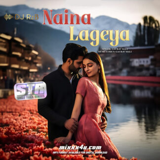 NAINA LAGEYA REMIX - DJ RzB *SINGLE TRACK REMIXES