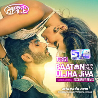 TERI BAATON MEIN AISA ULJHA JIYA REMIX - CARIBBEAN SPICE *SINGLE TRACK REMIXES