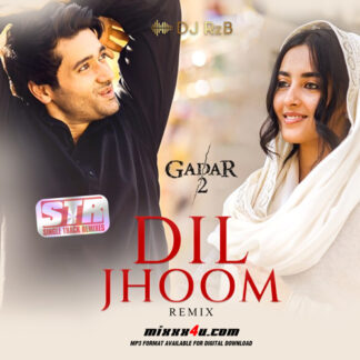 DIL JHOOM REMIX - DJ RzB *SINGLE TRACK REMIXES