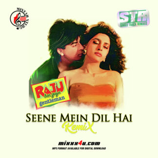 SEENE MEIN DIL HAI REMIX - MISTAH STUDZ *SINGLE TRACK REMIXES