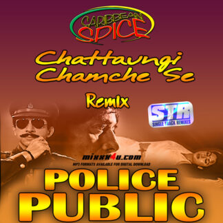 CHATTAUNGI CHAMCHE SE REMIX - CARIBBEAN SPICE *SINGLE TRACK REMIXES